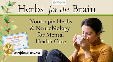 Brain Cert Cover.png