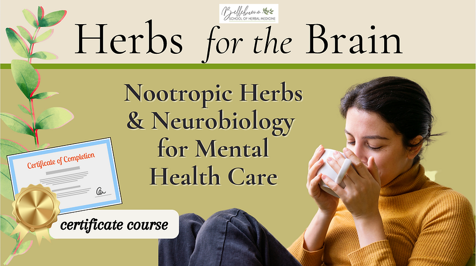 herbs for the brain course