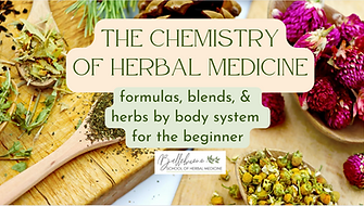 Chemistry of herbal med course cover copy.png