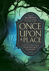 Once Upon a Place Cover