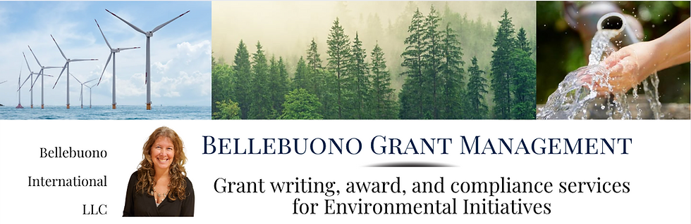 Grant web header.png