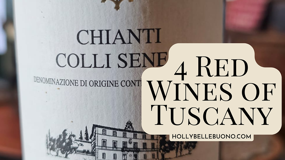 red wines in Tuscany with Holly Bellebuono