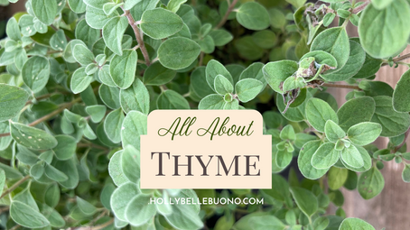 all about thyme