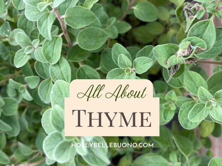 all about thyme