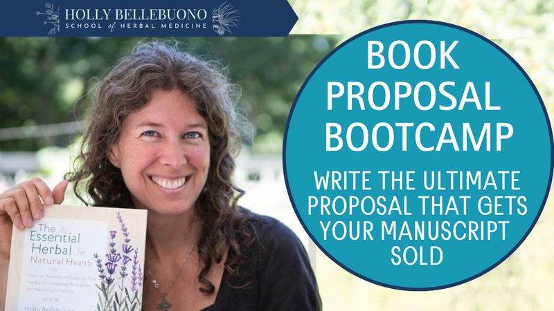 book proposal with Holly Bellebuono