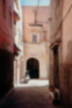 Derb N'khel, typical street of the Riad