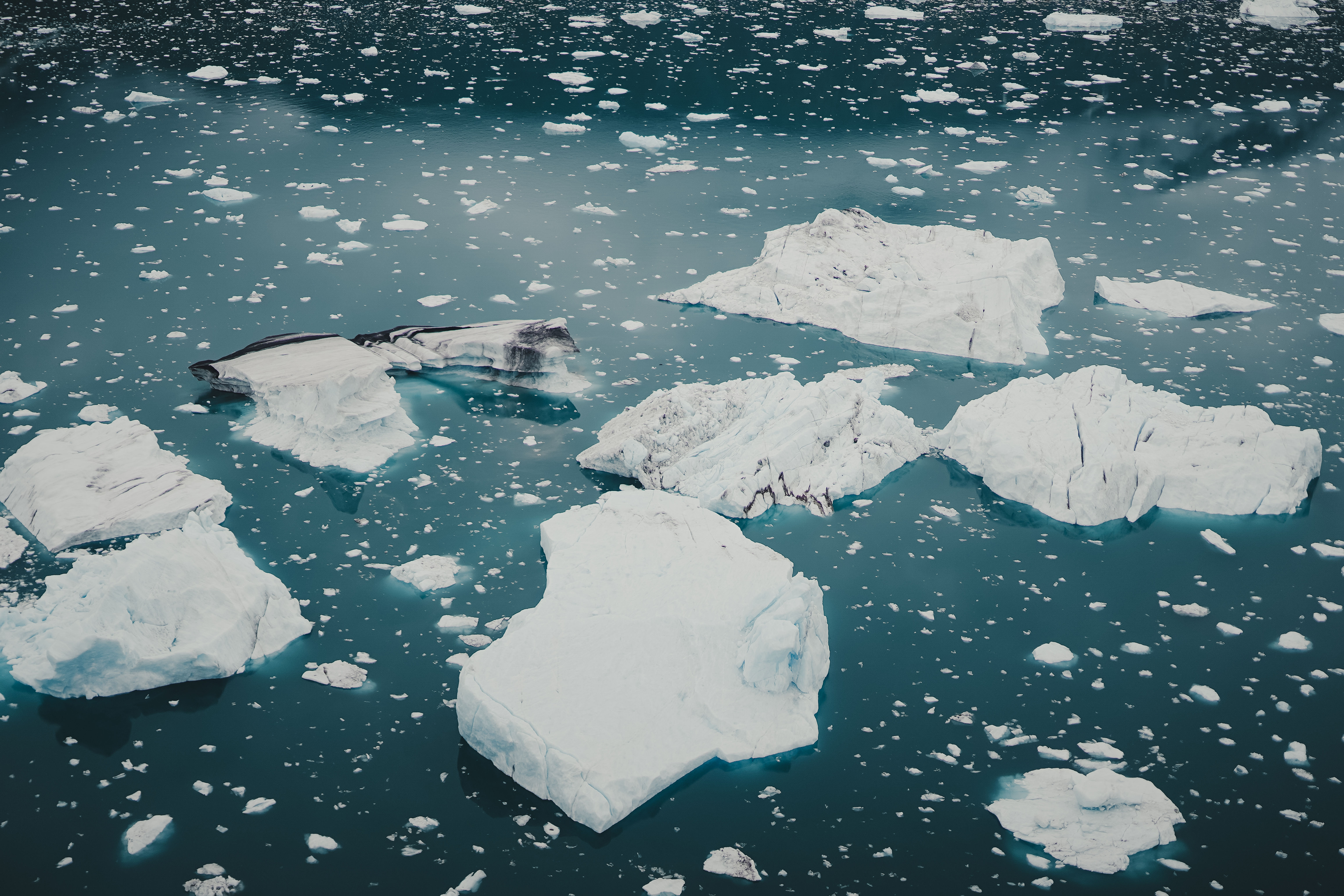 Alaska Icebergs | Digital