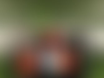 We are thrilled to have Carmelina Moscato join our Tuesday night (November 6th) training session!