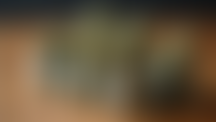 Legally Purchase THC Flower from Titan Kratom and CBD with Fast USA Shipping from titankratom.com