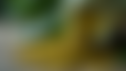 How to Purchase Kratom Online Safely