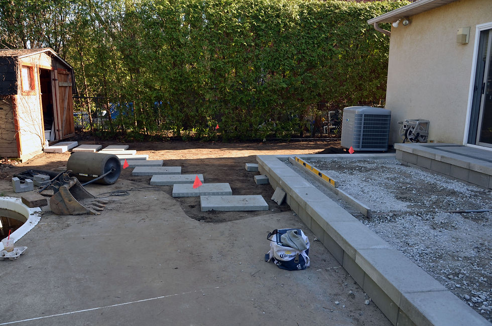 Projet des Mésanges