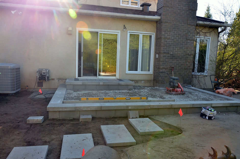 Projet des Mésanges