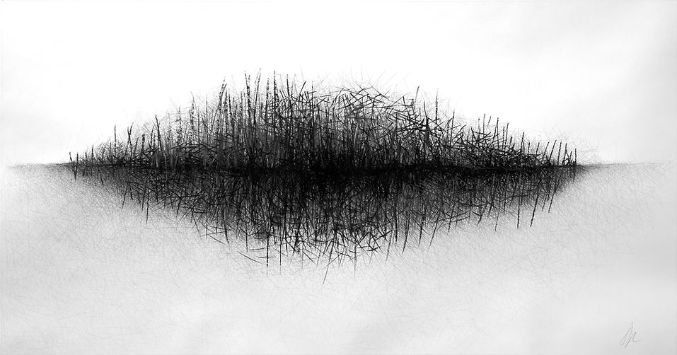 abstract Graphite and charcoal drawing, by Douglas Gilbert, of a dense horizontal cluster of intersecting lines mirrored below like a reflection on water.