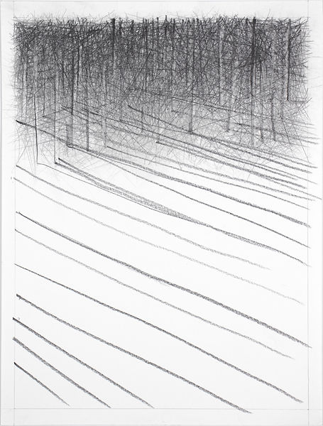abstract Graphite and charcoal drawing of diagonal linear marks in the foreground leading toward a dense field of vertical lines suggesting trees in the distance.