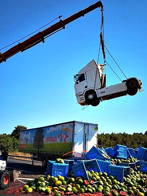 אודות חברת אוטו נוי