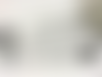 産経新聞に掲載頂きました バレエ通じ支援…世界の平和を願う