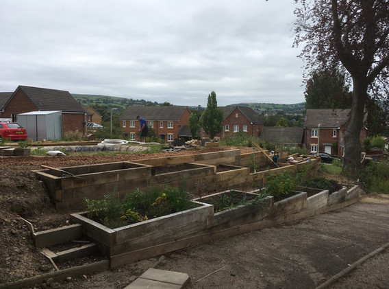 05 09 21 raised beds 6.JPG