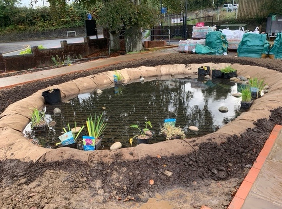 pond 2 25 10 2021.jpg