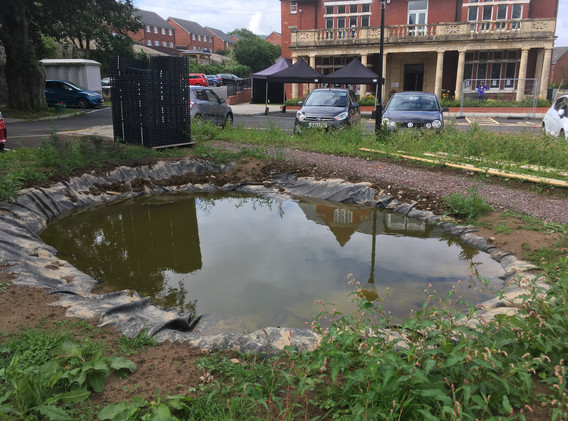 pond 10 08 21.JPG