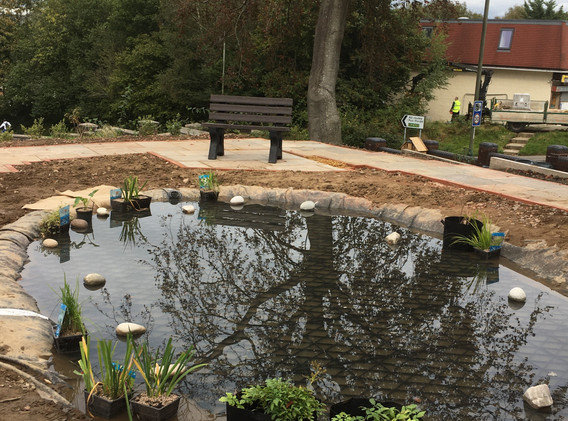 pond 13 10 2021.JPG