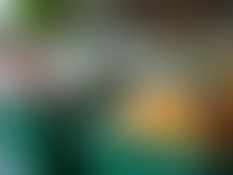 Guia completo para gestão sustentável de resíduos domésticos