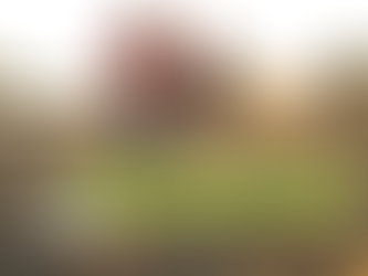 低学年の部、始動!