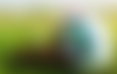 悔しさが選手を強くする