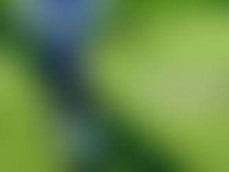 積み重ねの実感