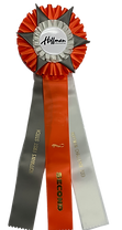 SECOND PLACE EVERYTHING.png