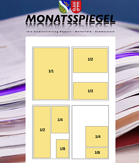 MSP_ Anzeigen (150 x 220 mm).png