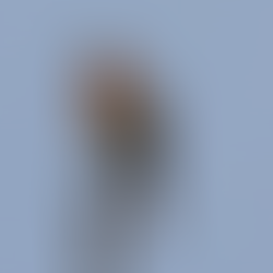 Vogelstimmen mal anders 