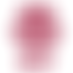 Sozialdienstes katholischer Frauen