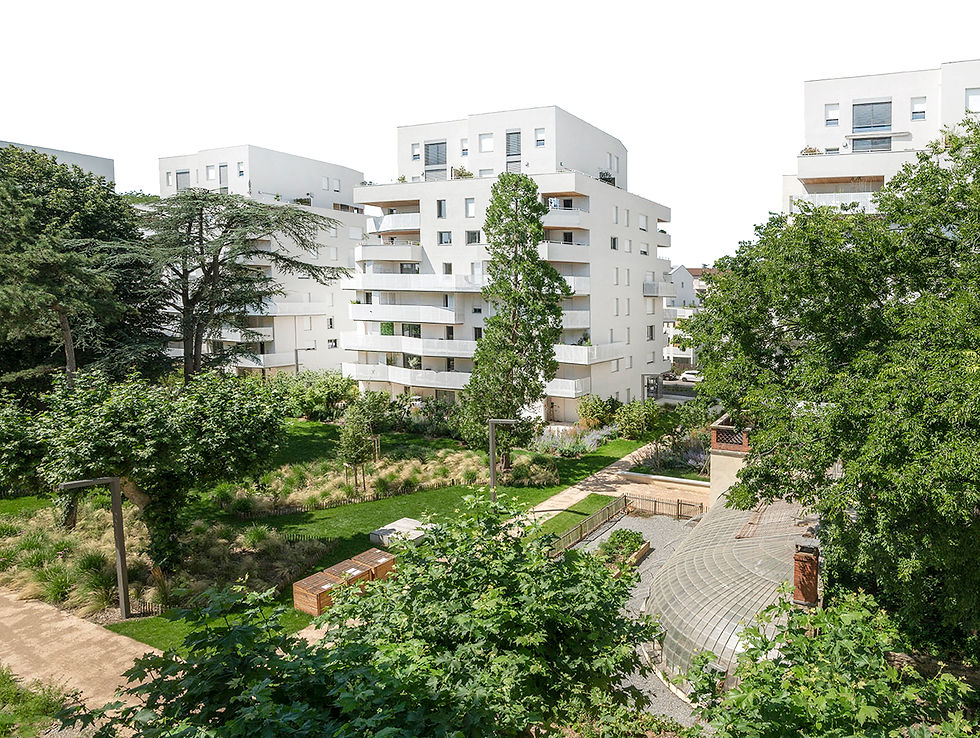 PHOTO 1.jpg