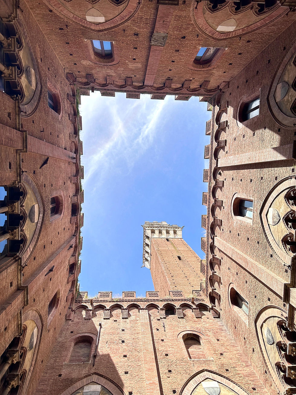 One Day in Siena. View of Torre del Mangia