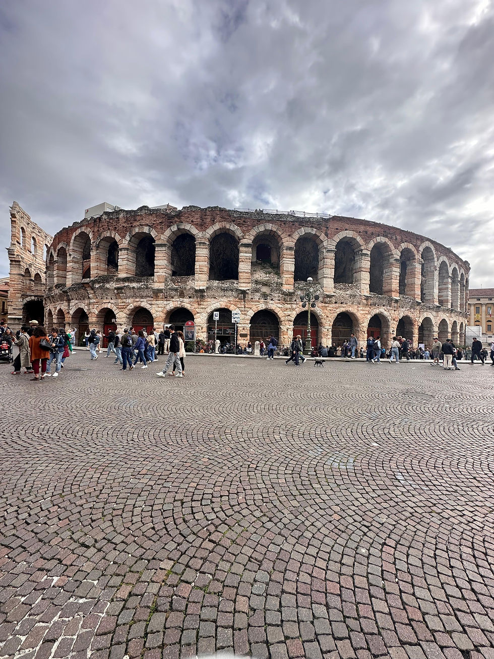 Verona from Milan. View of Arena di Verona