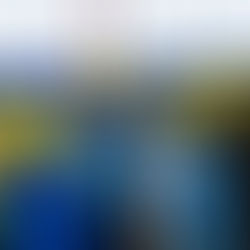 Austrian Cup und Wiener Meisterschaft vom 29.11.2025