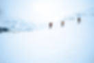 Skiers