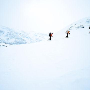 Skiers