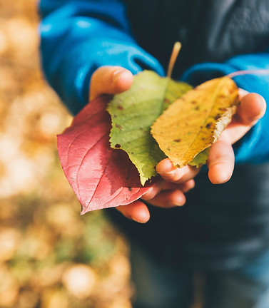 markus-spiske-DzgLAZXNFRo-unsplash.jpg