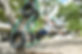 S_shr-1316.jpg