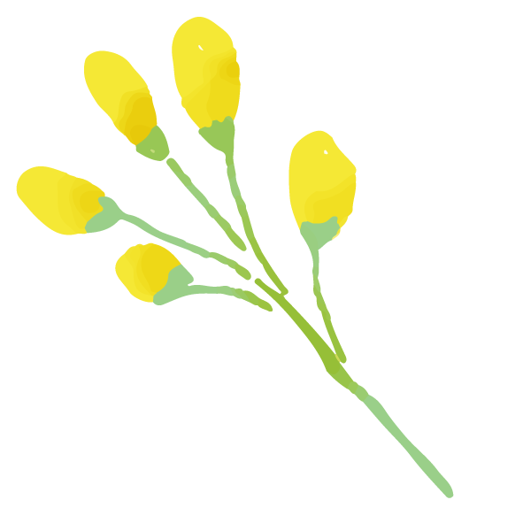 15.png