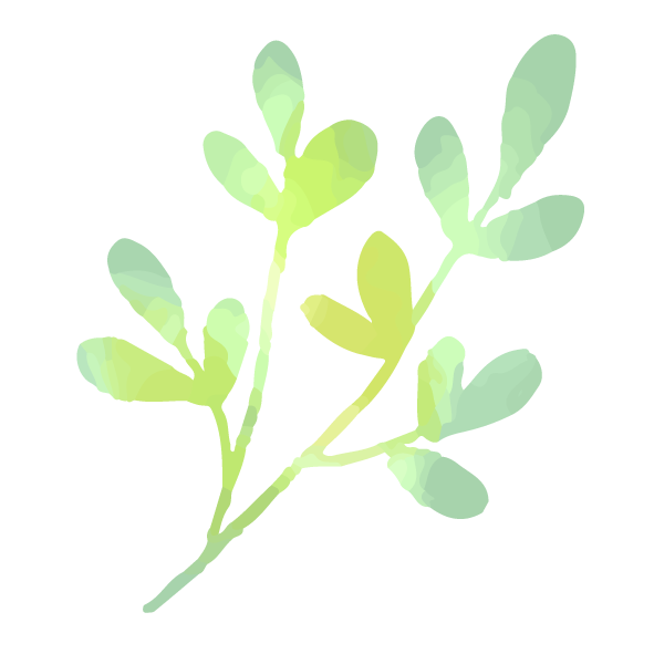 14.png