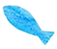 水色魚3_IMG_0925.png