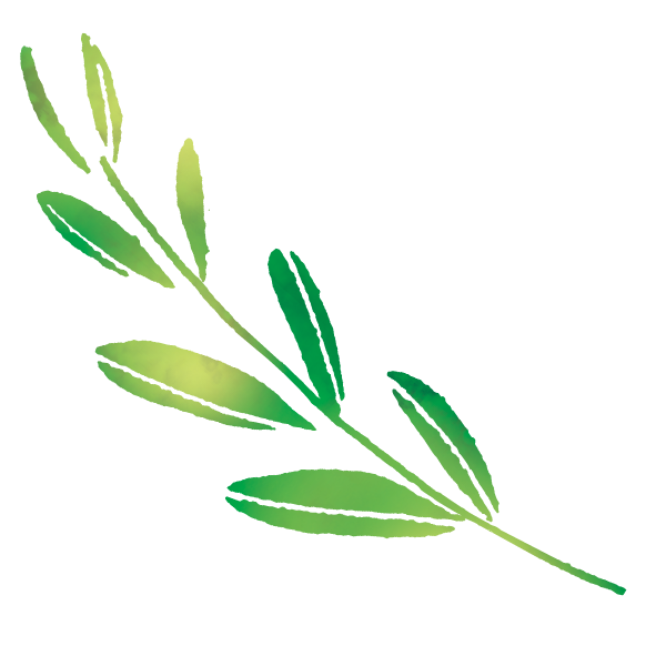 06.png