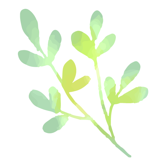 14.png
