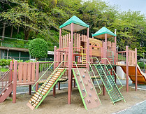 shr-1118.jpg