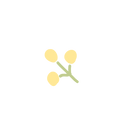 (黄色花)23035349-(1).png