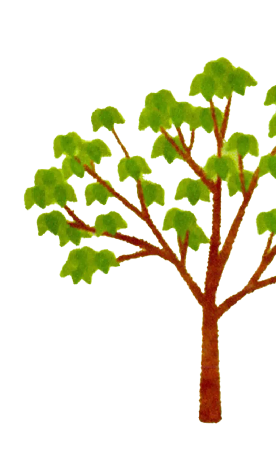 木_3x.webp