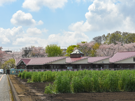 保育体験(ボランティア)募集について