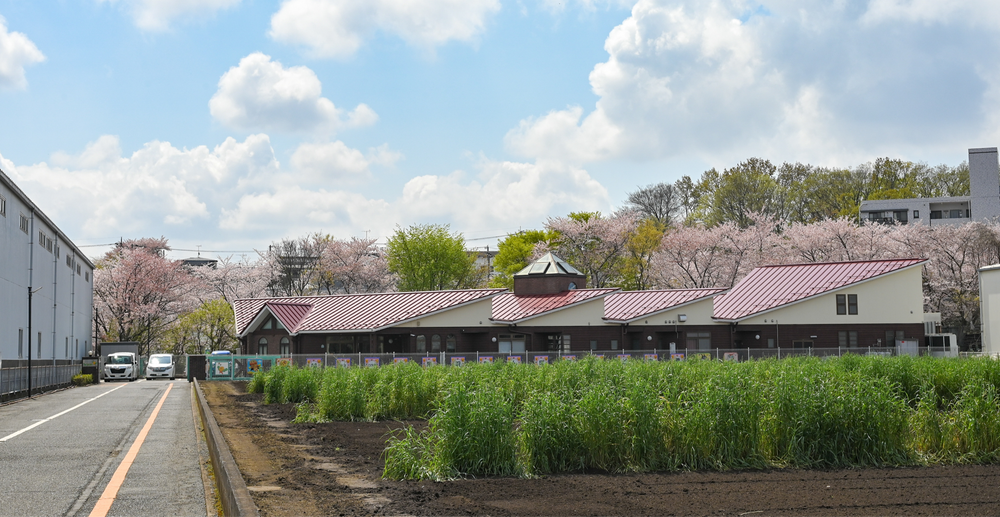 保育体験(ボランティア)募集について